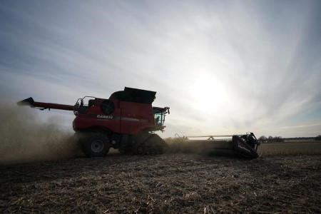COLUMN-Tighter or looser? Provide outlooks versus worth for U.S. corn, soy -Braun