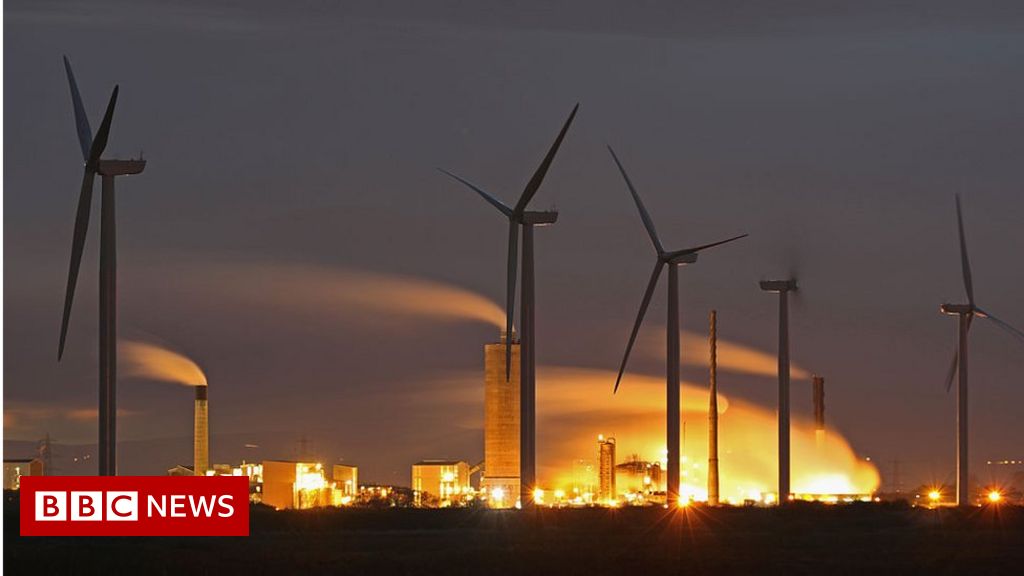 Energy boss: Remove green levies to cut bills