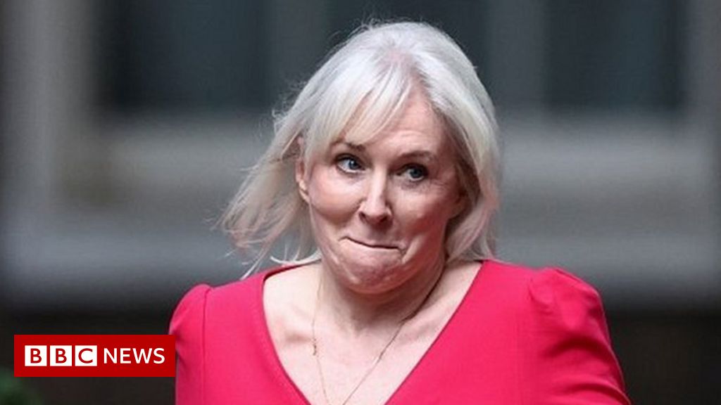 Nadine Dorries: Best-selling author, nurse, reality star and, now, cabinet minister