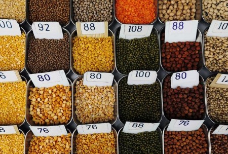 World meals costs bounce in Aug, cereal harvest outlook lower -FAO