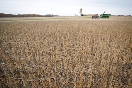 GRAINS-Soy, wheat agency forward of U.S. vacation weekend; corn drifts decrease