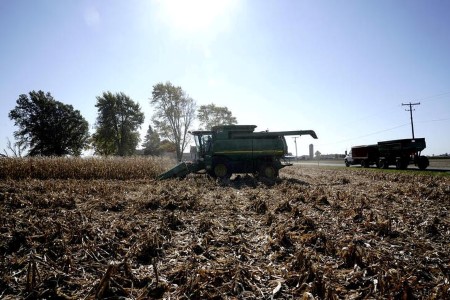 GRAINS-Corn firms from 7-1/2 month low; wheat, soybeans fall