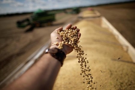 Brazil farmers sell more of their 2021 second corn crop as demand rises – Safras