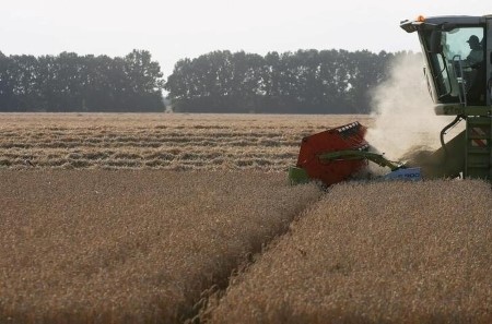 Ukraine winter grain sowing 5% complete -ministry
