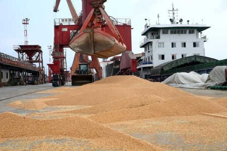China books rare, costly Oct/Nov soybean shipments from Brazil -traders
