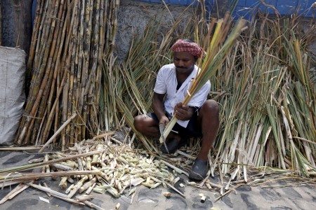 India’s top sugar producing state raises cane price by 7.9%