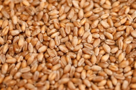 GRAINS-Wheat futures surge as U.S. supplies drop to 14-year low