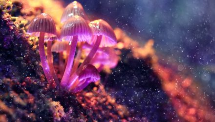AdvisorShares launches Psychedelics ETF, PSIL