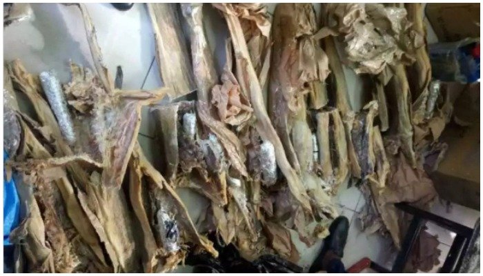 Norway blames rising cost of stockfish in Nigeria on forex ban