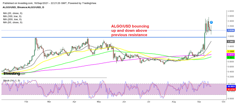 Algorand Crypto Price Prediction – Consolidating Before the Next Bullish Move
