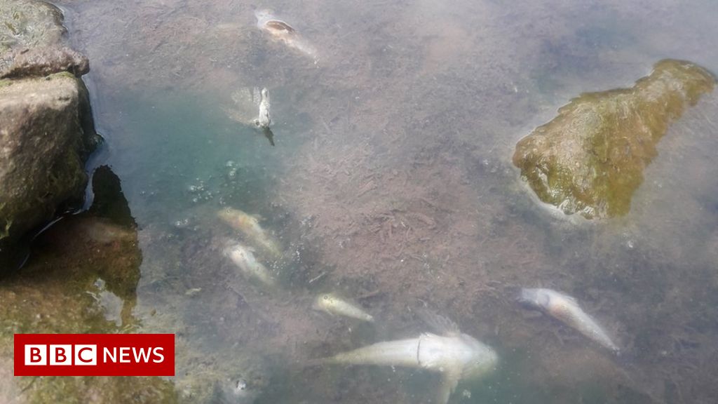 Natural Resources Wales: River Llynfi pollution probe 'feeble'