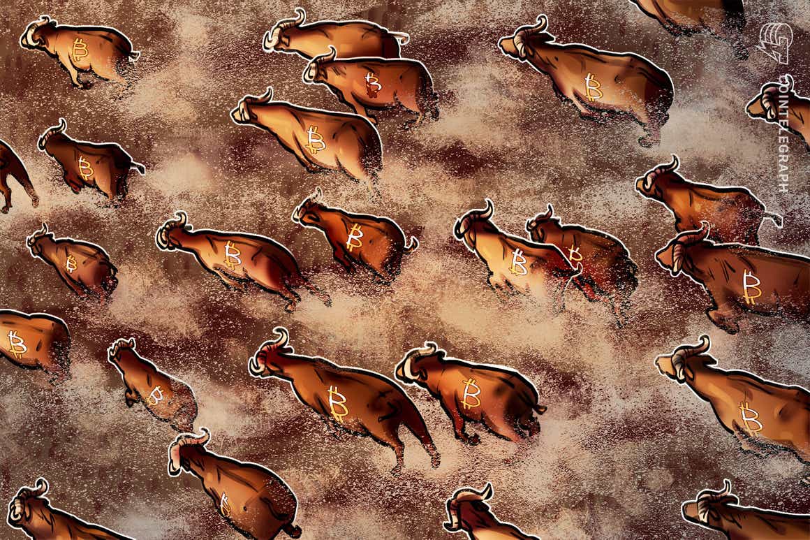BTC price ‘ready to rally’ with Bitcoin bulls clear to charge at $85K — analysis