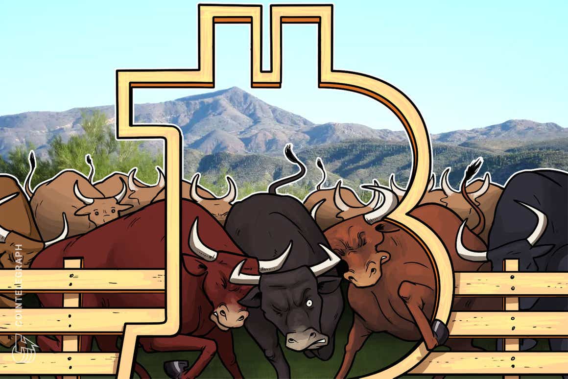 Long-term Bitcoin bulls hodl strong despite five-month price high