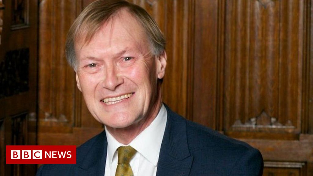 Sir David Amess: The lesser-known concerns of the Southend West MP
