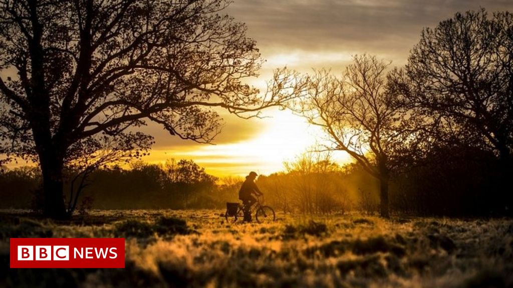 Net zero announcement: Obstacles facing the UK government's plans