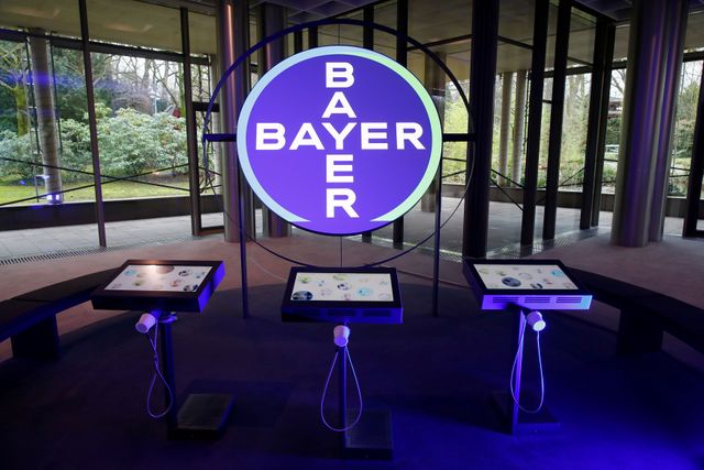 Bayer: no guidance hit from hurricane, planting trends
