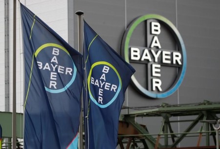 Bayer blasts ‘unscientific’ rejection by Mexican regulator of GMO corn permit
