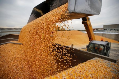 France raises 2021 maize and sugar beet crop estimates, cuts wheat