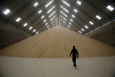 SOFTS-Raw sugar recovers from two-week lows