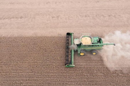 POLL-U.S. soybean harvest seen as 62% complete, corn 54%