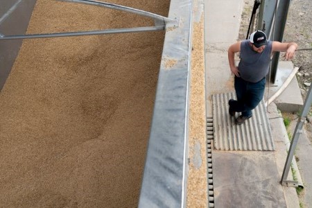 GRAINS-Soybeans fall for first time in five sessions