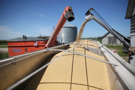U.S. soybean harvest 73% complete, corn 66% -USDA