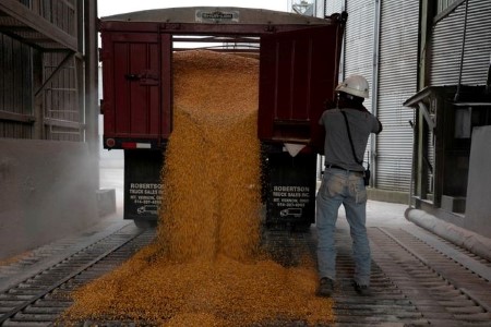 GRAINS-Corn retreats from 2-month high, ethanol demand caps losses