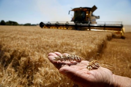 GRAINS-Wheat lingers near 2013 high, set for monthly gain of 7%