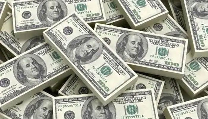 Forex reserves fall to $25.969bln