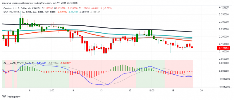 Why is Cardano (ADA) Still Struggling Despite High Investor Interest?