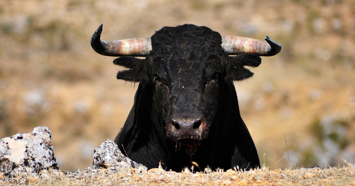 Bitcoin’s Options Market Is Now Skewed Bullish Across All Time Frames