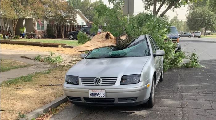 Foreign exchange student asks community for help replacing car destroyed by falling tree branch in Merced