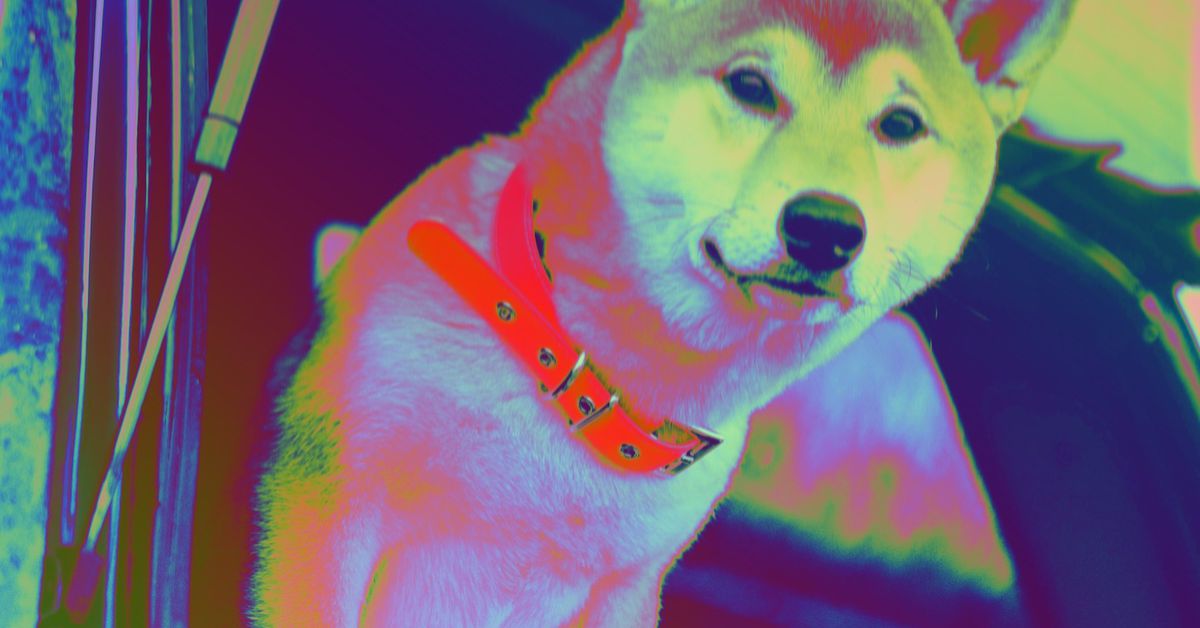 Shiba Inu Jumps 70% to Surpass Market Value of Robinhood – Where It’s Not (Yet) Listed
