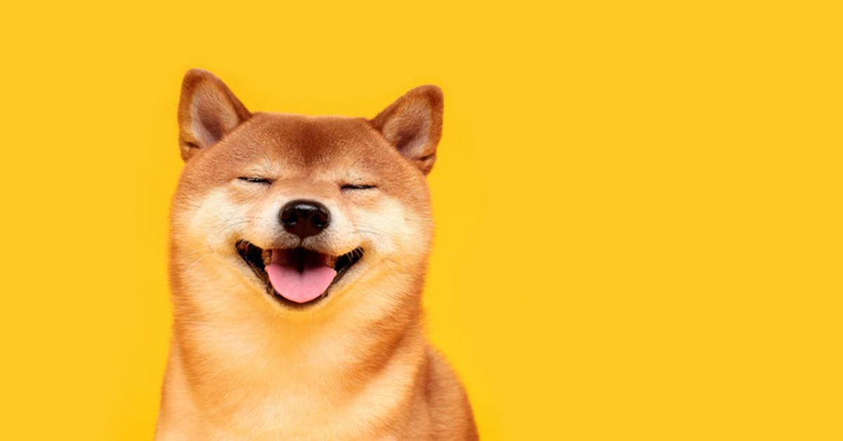 Shiba Inu (SHIB): A Complete Beginner’s Guide