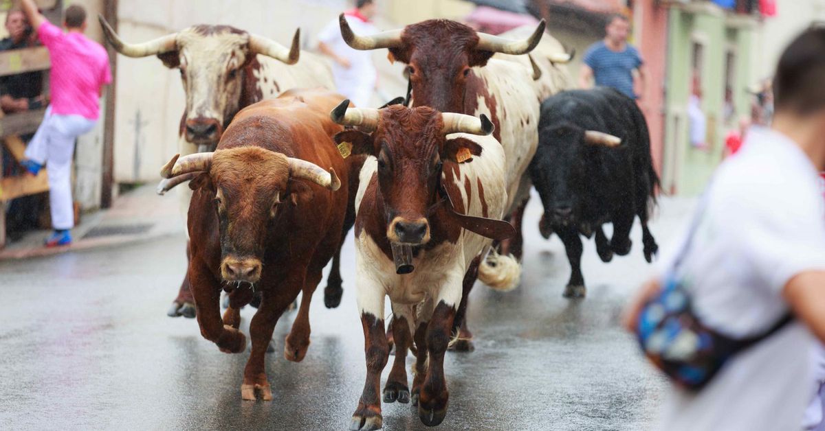 Ether Poised for Biggest Monthly Price Gain Since April; Analysts Remain Bullish