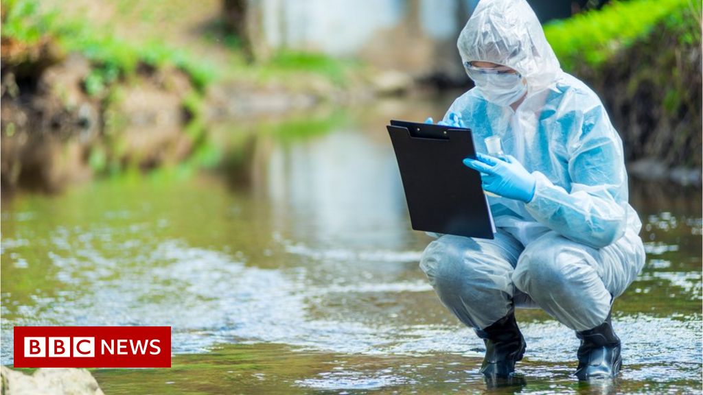 Environment Bill passes following lengthy battle over sewage