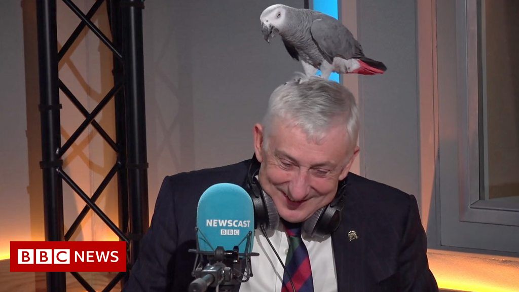Commons speaker ruffles Boris’ feathers on Newscast