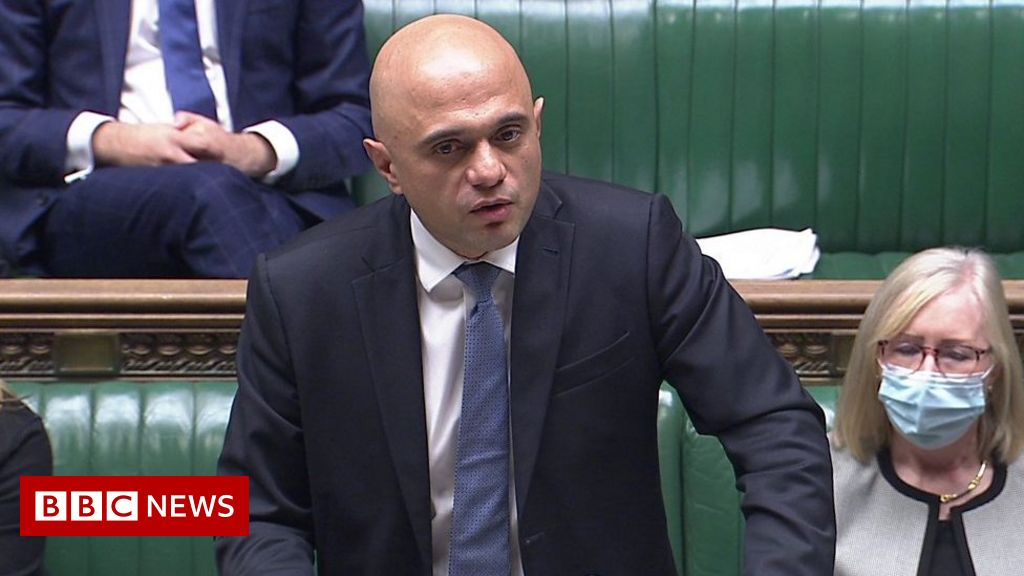 Covid: Javid explains travel rules for southern Africa