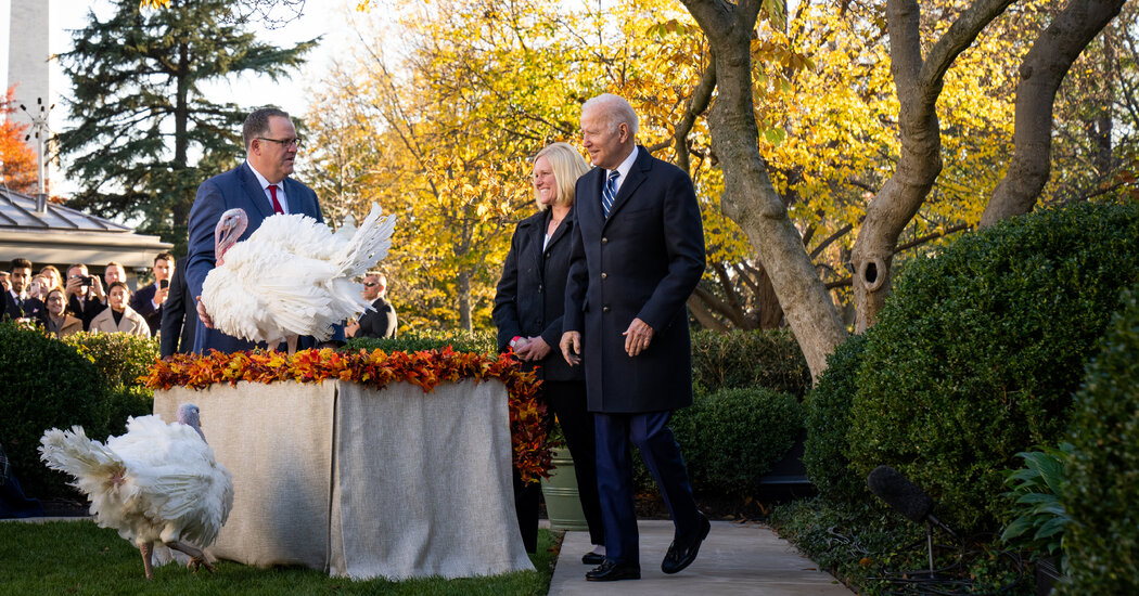 Biden Pardons 2 Turkeys in Thanksgiving Tradition