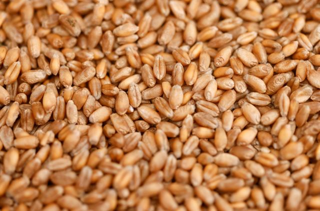 GRAINS-Wheat near multi-year peak on supply concerns, soybeans firm