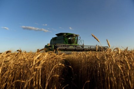 GRAINS-Wheat near 9-year high on supply concerns, strong global demand