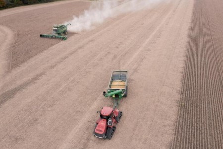GRAINS-Soybean, corn futures sag before USDA crop report