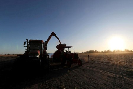 Argentine farmers have sold 33.6 mln tonnes 20/21 soybeans – govt