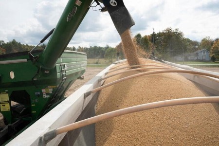 GRAINS-Soybeans at 5-week high on U.S. demand hopes; wheat eases