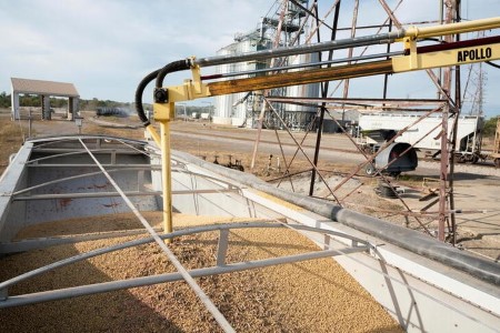 GRAINS-Soybeans fall from 6-week peak, export demand caps losses