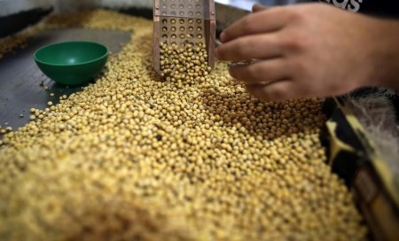 Argentina says farmers have sold 34.8 mln tonnes of 2020/21 soybeans