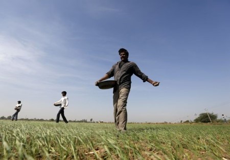 EXCLUSIVE-India faces record fertiliser subsidy in 2021/22