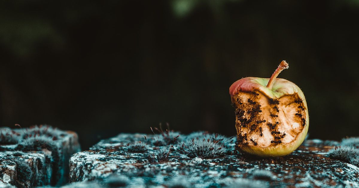 Why People Still Hate Crypto