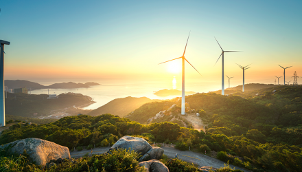 Adapting to Market Signals with Our Growth and Momentum Fund