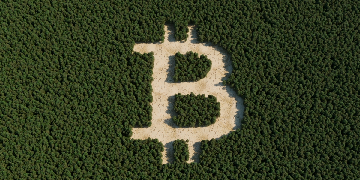 Offsetting Bitcoin’s carbon footprint would require planting 300 million new trees